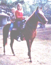 Prissie - sorrel mare