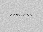 Day-00-Pic-2-C-Place-Holder